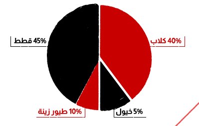 دراسة سوق الطب البيطري في مصر-1