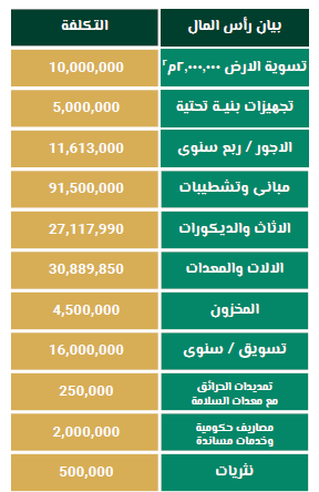 الخطة المالية الملاهى الترفيهية في السعودية-1