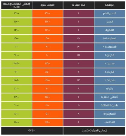 الخطة المالية للأكاديمية الرياضية في السعودية-2