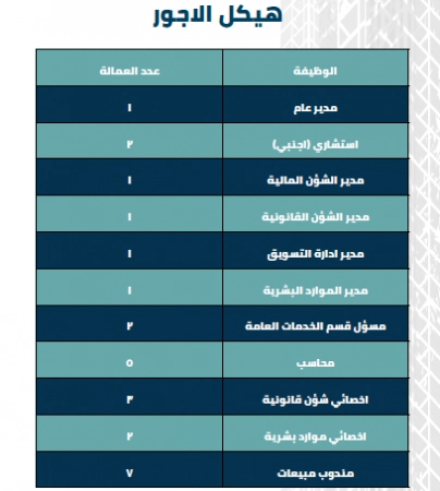 الخطة المالية للاطارات فى السعودية