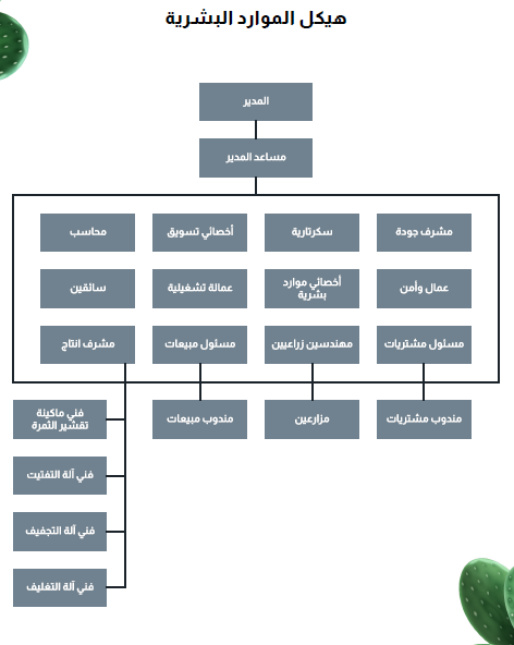 الهيكل التنظيمي لزراعة التين الشوكي-1