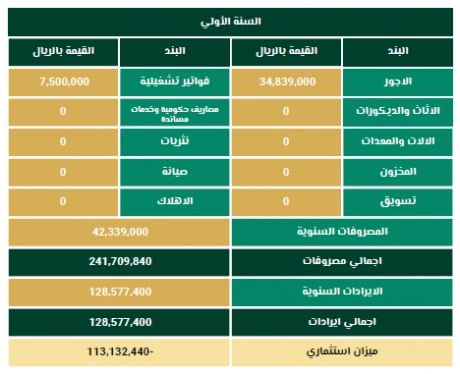 الخطة المالية الملاهى الترفيهية في السعودية