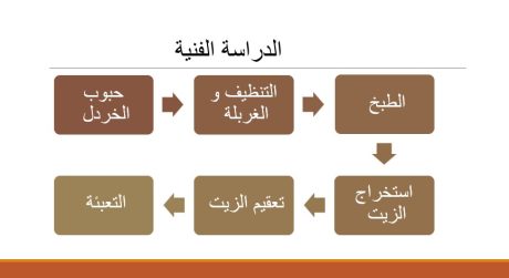 الدراسة الفنية لمشروع انتاج زيت الخردل-1