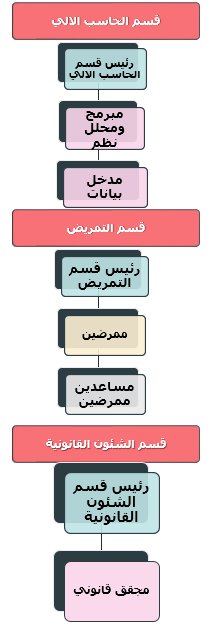 الهيكل التنظيمي لمركز صحي-2