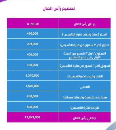 الخطة المالية لمصنع فيبر جلاس 