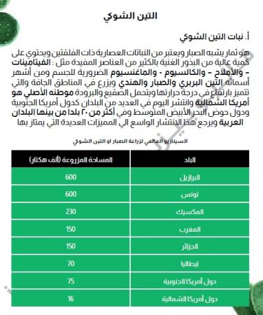 دراسة سوق مصنع زيت التين الشوكي-2