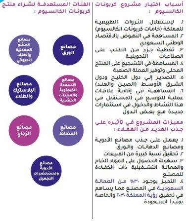 دراسة جدوى مصنع كربونات الكالسيوم-3