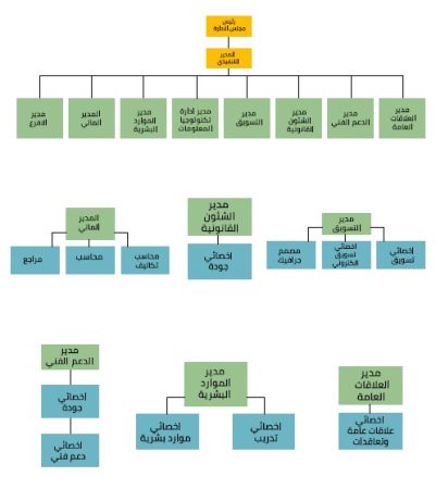 دراسة جدوى تطبيق صيانة سيارات Fix To Go-8