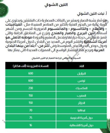 دراسة جدوى مزرعة التين الشوكي بالسعودية-9