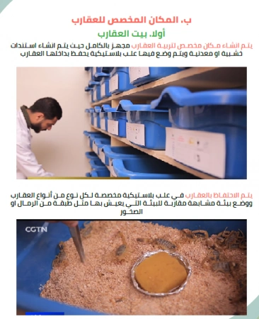 دراسة جدوى مزرعة الثعابين والعقارب (4)