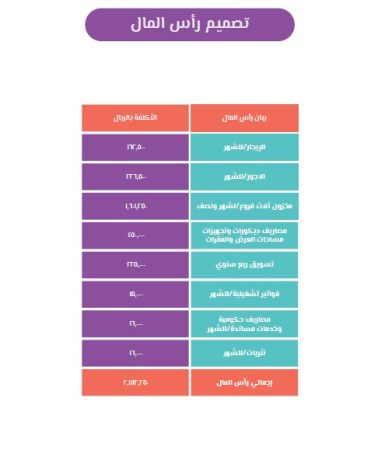 دراسة جدوى شركة مفاجآت اليانصيب-6