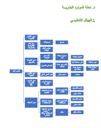 الهيكل التنظيمي لشركة شحن في مصر-4