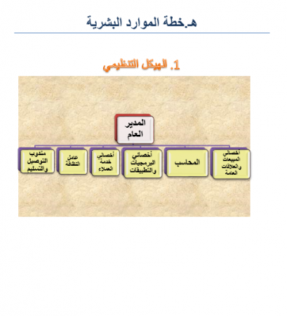 الهيكل التنظيمي لتطبيق توصيل شوبيك في مصر-1