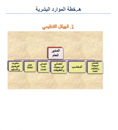 دراسة جدوى تطبيق توصيل شوبيك في مصر