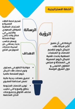 الخطة الاستراتيجية لمشروع الطلاء-1