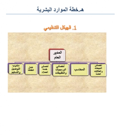 الهيكل التنظيمي لتطبيق توصيل شوبيك في مصر
