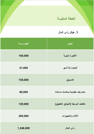 الخطة المالية تطبيق الاستثمار العقاري في مصر-1