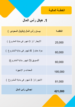 الخطة المالية لمشروع الطلاء بالكروم في السعودية-1
