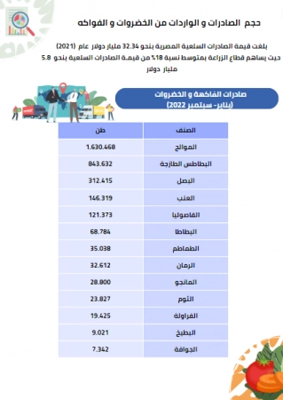 دراسة سوق مصنع تعبئة مواد غذائية في مصر