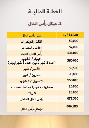 دراسة جدوى كافية في مصر-5