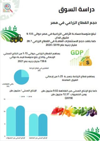 دراسة سوق مصنع تعبئة مواد غذائية-1