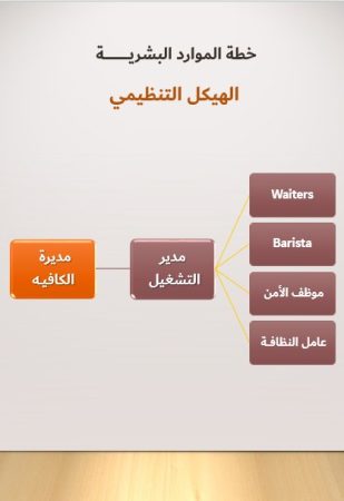 دراسة جدوى كافية في مصر-4