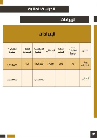 الخطة المالية لمشروع المتجر الإلكتروني-2