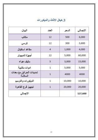 الخطة المالية مشروع شركة برمجيات في السعودية