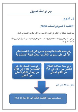 دراسة جدوى مشروع شركة برمجيات في السعودية