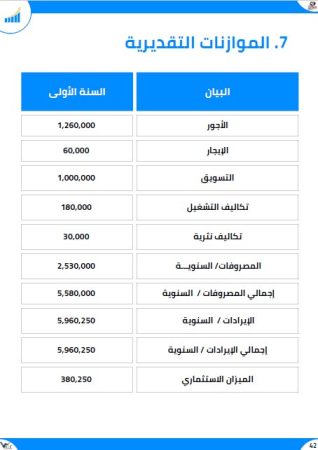 الخطة المالية لتطبيق الكتروني -2