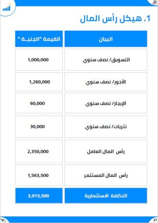 الخطة المالية لتطبيق الكتروني