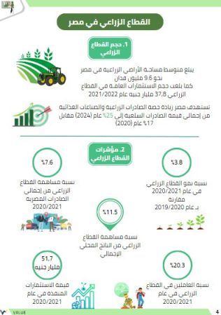 دراسة سوق مصنع مركزات العصائر