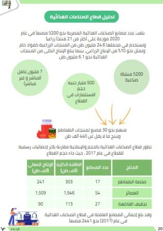 دراسة جدوى مصنع مركزات العصائر2