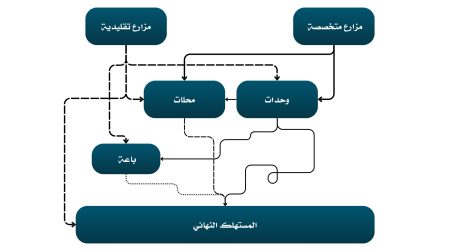 طرق توزيع الألبان في مصر