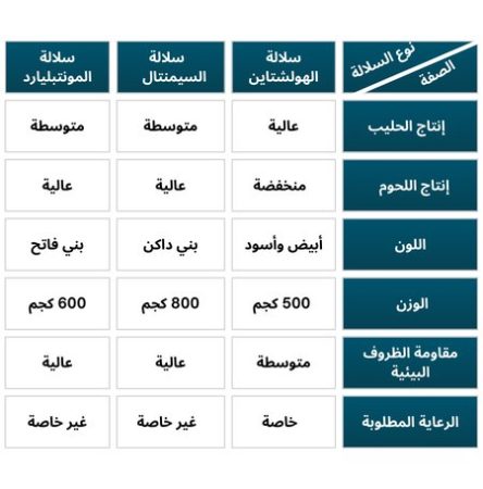 مقارنة بين سلالة الهولشتاين وسلالة السيمنتال وسلالة المونتبليارد