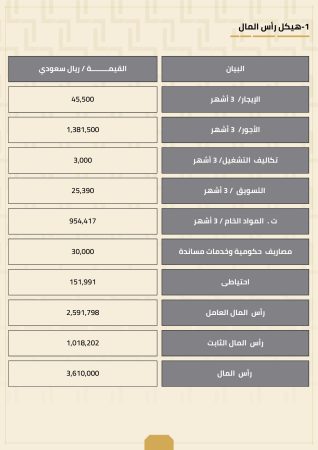 الخطة المالية لمشروع مصنع الخشب البلاستيكي