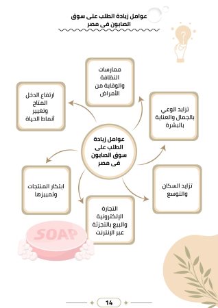 دراسة جدوى مصنع صابون (2)