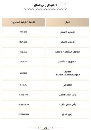 دراسة جدوى مصنع صابون (4)