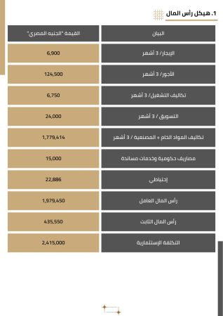 دراسة جدوى مصنع مفروشات (2)