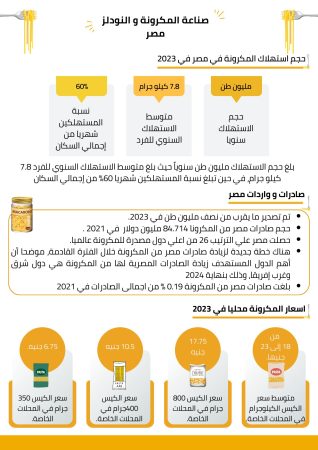 دراسة جدوى صناعة الاندومي في مصر (1)