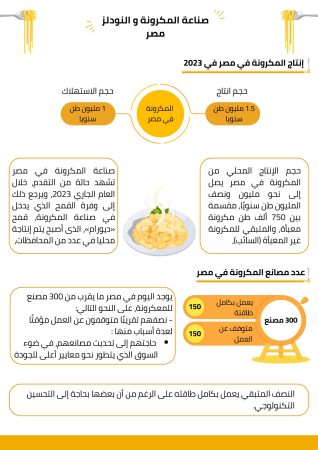 دراسة جدوى صناعة الاندومي في مصر (4)