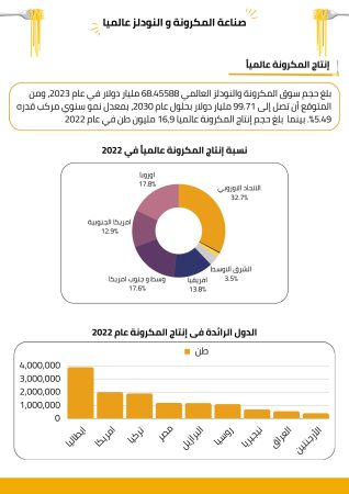 دراسة جدوى مصنع نودلز (1)