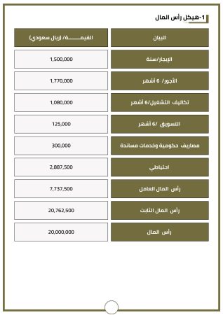 دراسة جدوى مشروع سياحي (3)