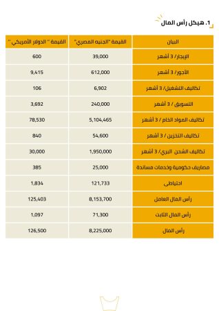 دراسة جدوى مصنع بطاطس (2)