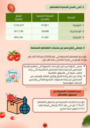 دراسة جدوى مصنع معجون طماطم (1)