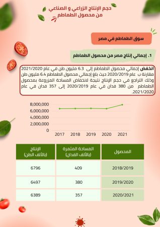 دراسة جدوى مصنع معجون طماطم (3)