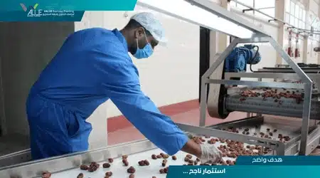 دراسة جدوى مصنع تمور