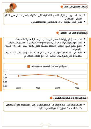 دراسة جدوى زراعة العدس (1)