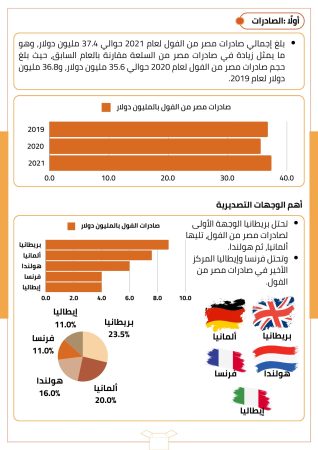 دراسة جدوى زراعة الفول البلدي (2)