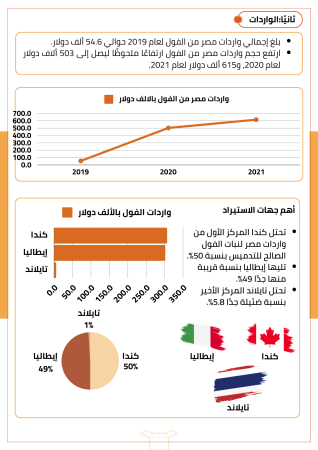 دراسة جدوى زراعة الفول البلدي (3)